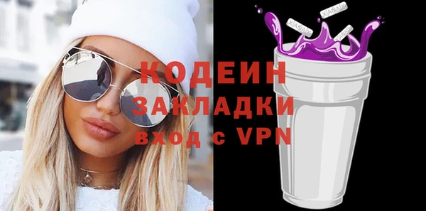 дживик Краснослободск