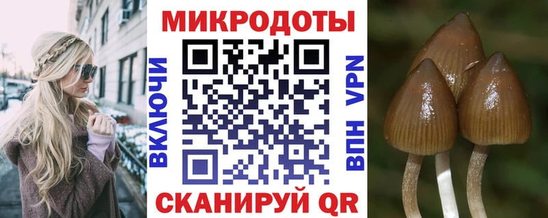 Псилоцибиновые грибы GOLDEN TEACHER  darknet телеграм  Оленегорск 
